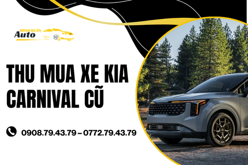 Thu mua xe Kia Carnival cũ