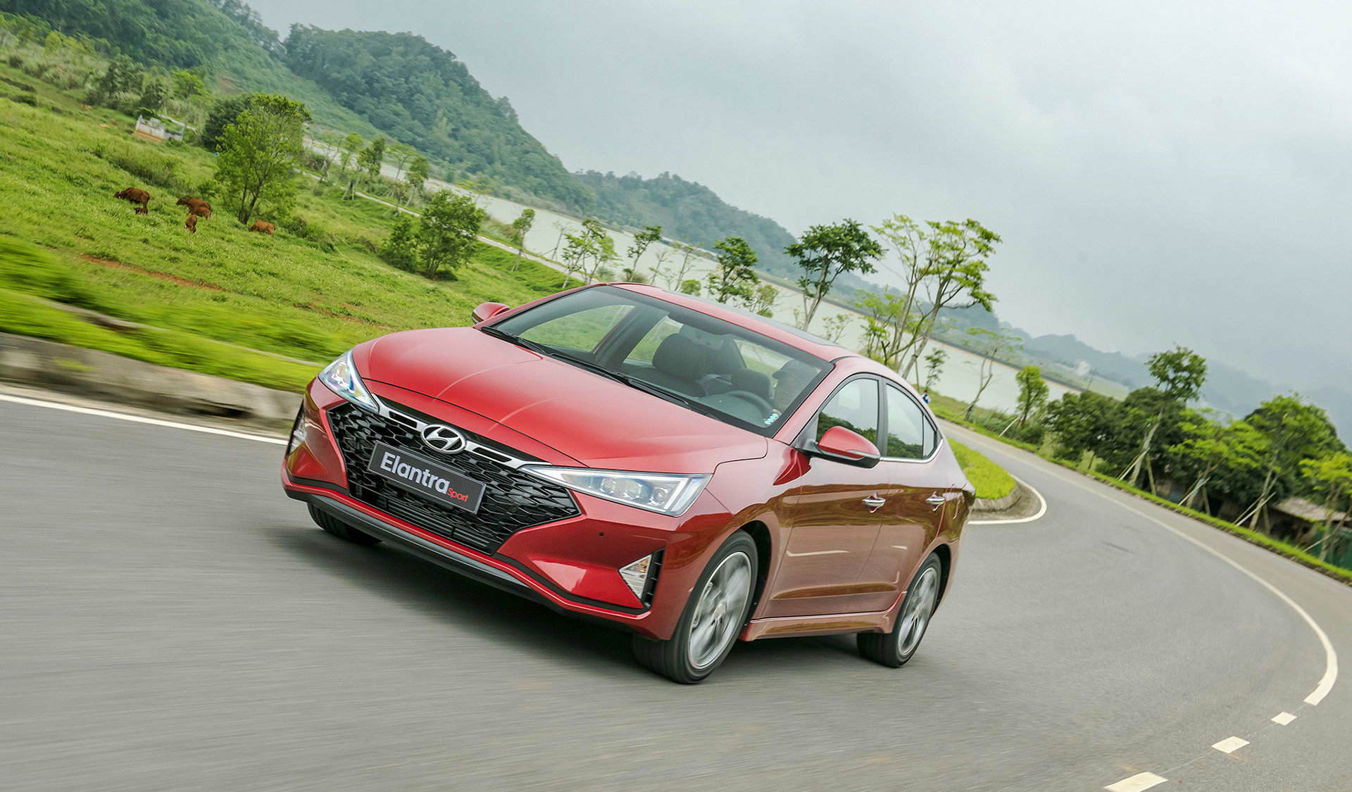 Thu mua xe ô tô cũ tại Ngã Bảy – Hậu Giang