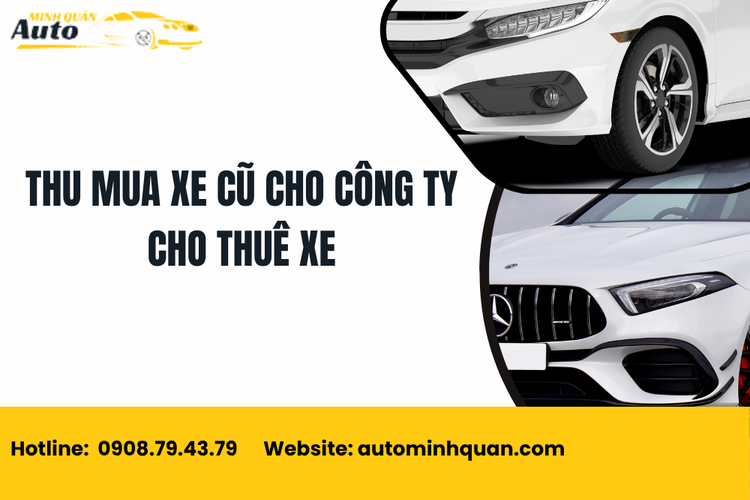 Thu Mua Xe Cũ Cho Công Ty Cho Thuê Xe – Giải Pháp Tối Ưu Chi Phí Và Mở Rộng Đội Xe Nhanh Chóng