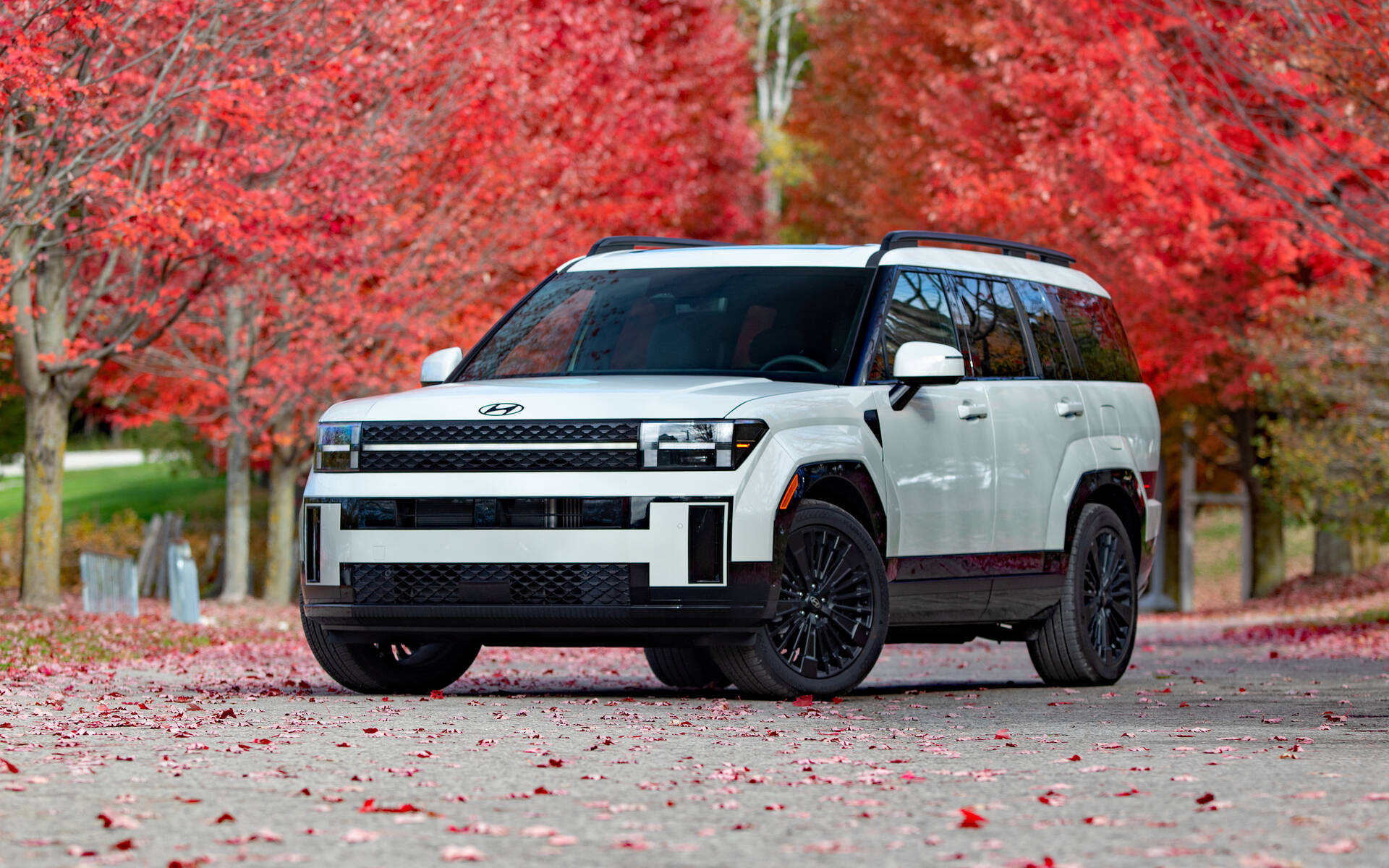 Quy Trình Dịch Vụ Thu Mua Xe Cũ Trọn Gói Của Auto Minh Quân